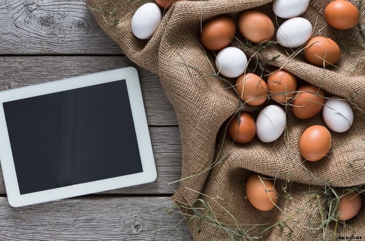 Poultry Tech Summit goes digital