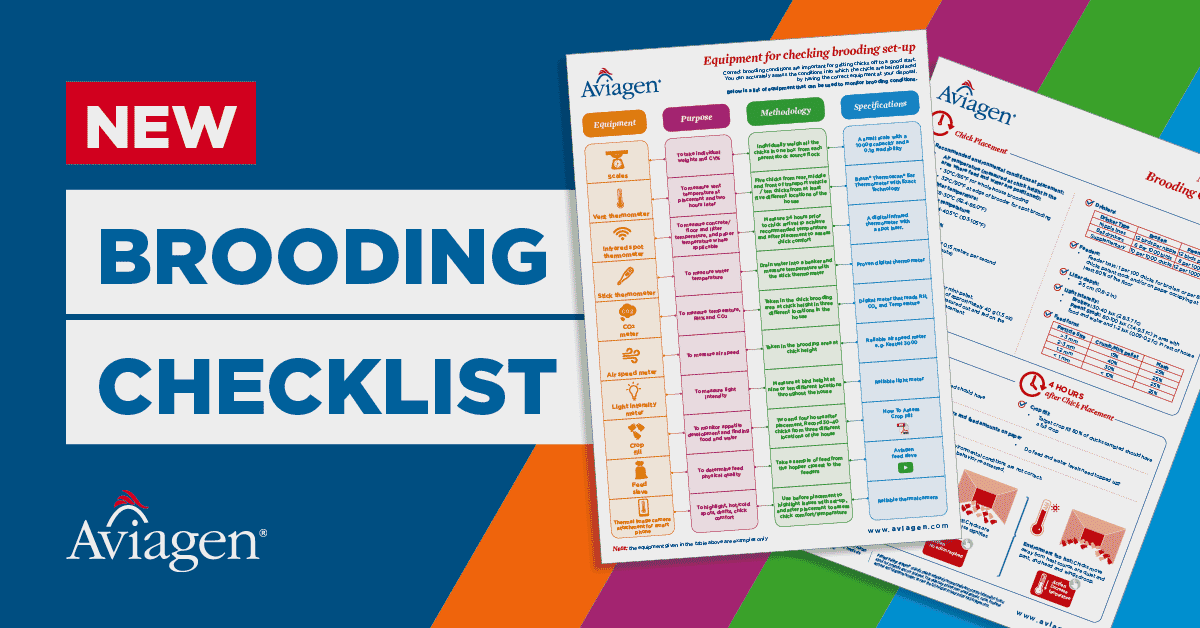 Hot off the press – New Aviagen brooding checklist