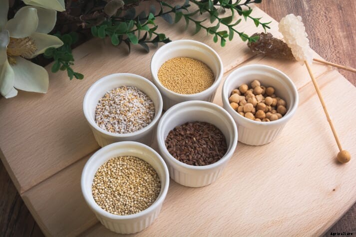 DuPont Nutrition and Biosciences﻿ introduces Axtra phy gold