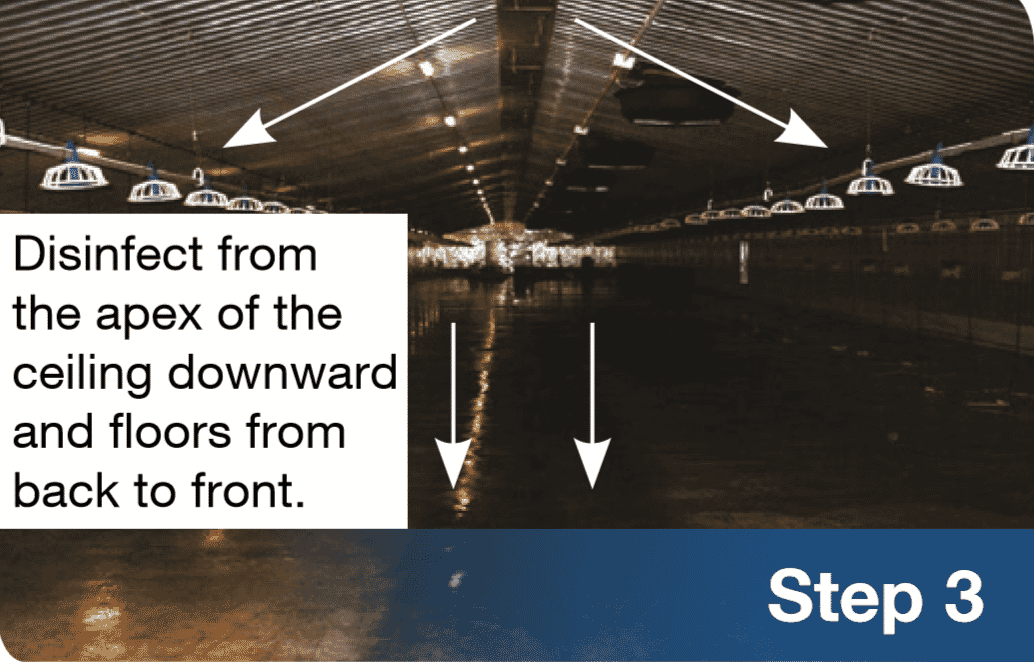 Why disinfect the breeder house after depletion?