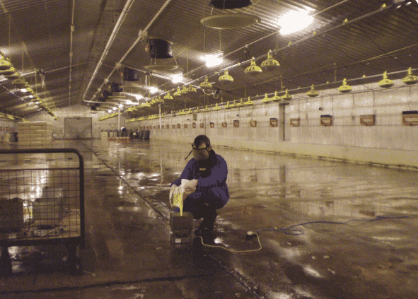 Why disinfect the breeder house after depletion?