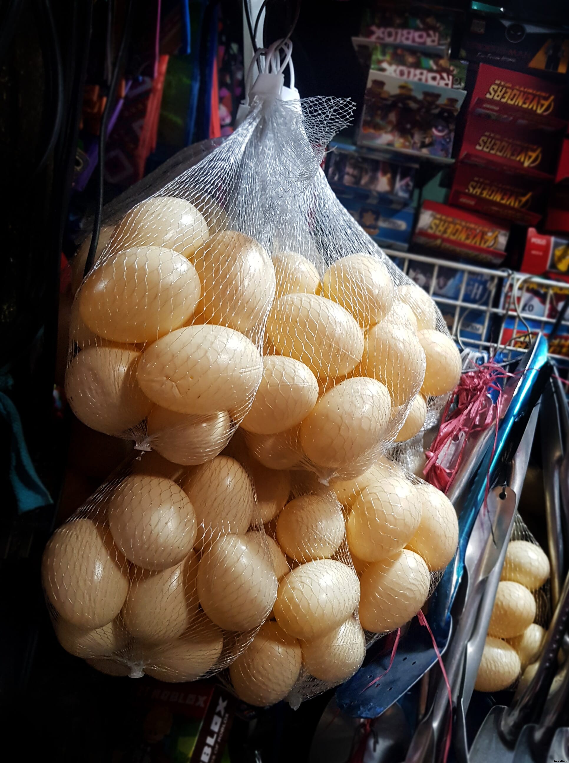 Why turkeys are so important to the Philippines’ poultry industry