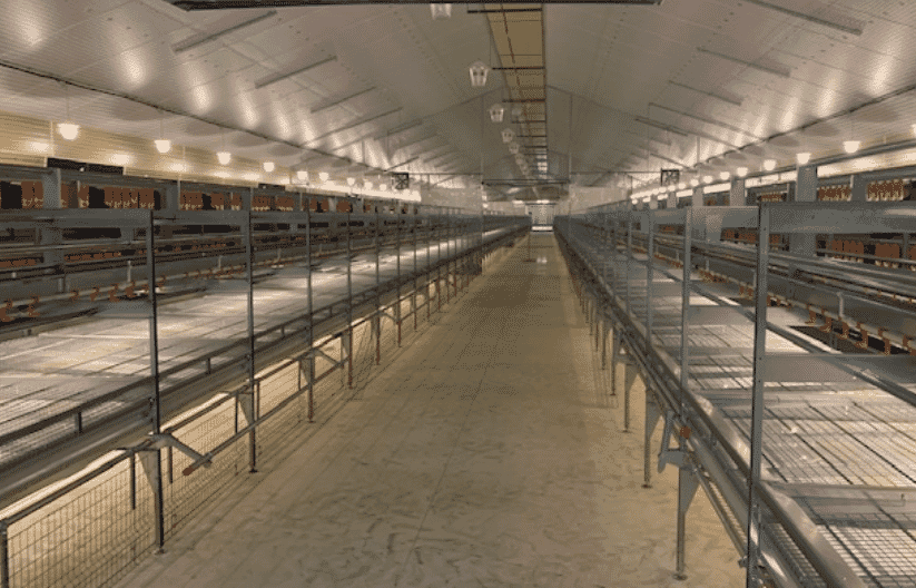France: welfare barn for egg production inaugurated