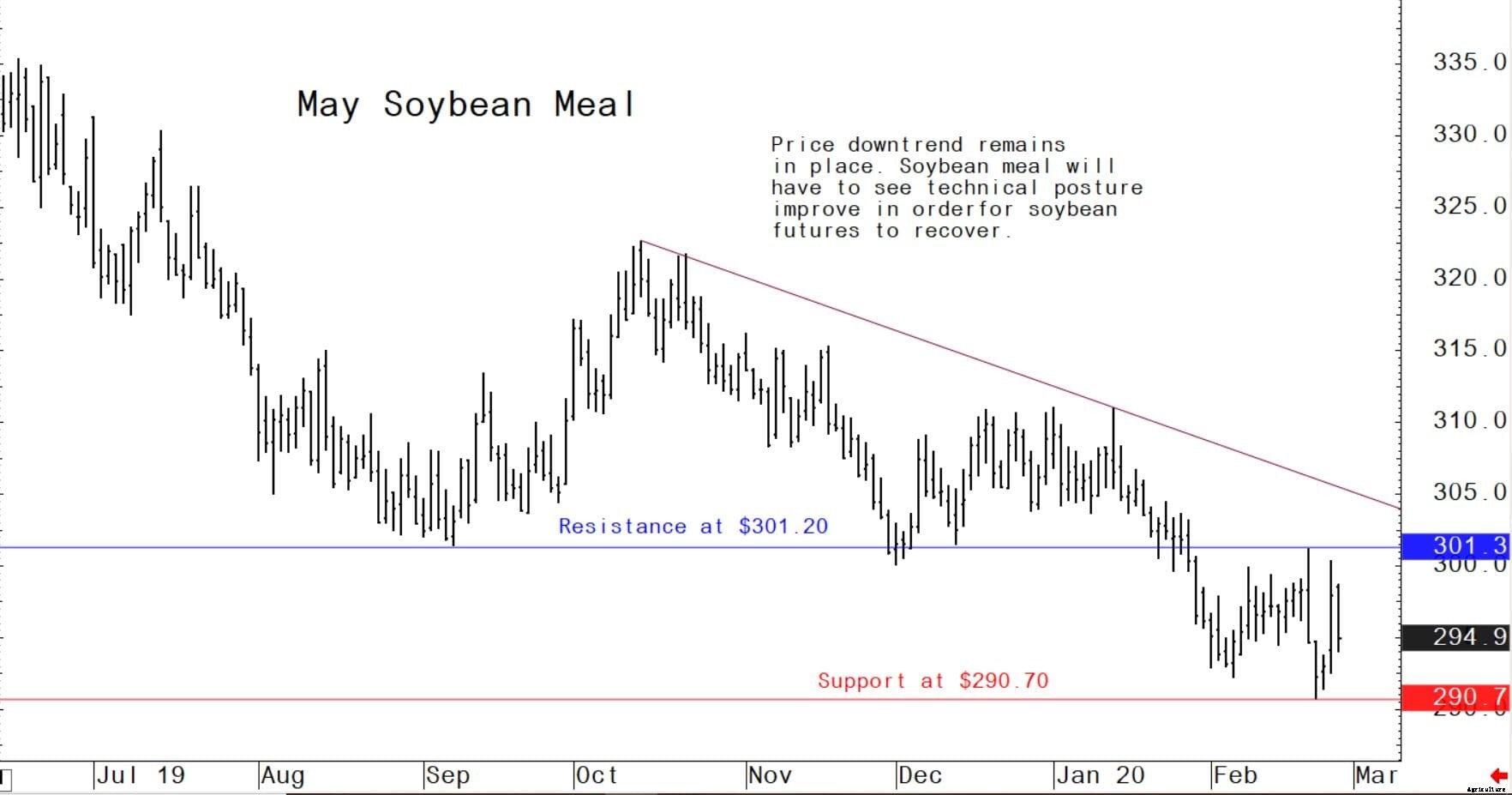 Coronavirus scare continues to squelch the grain market bulls