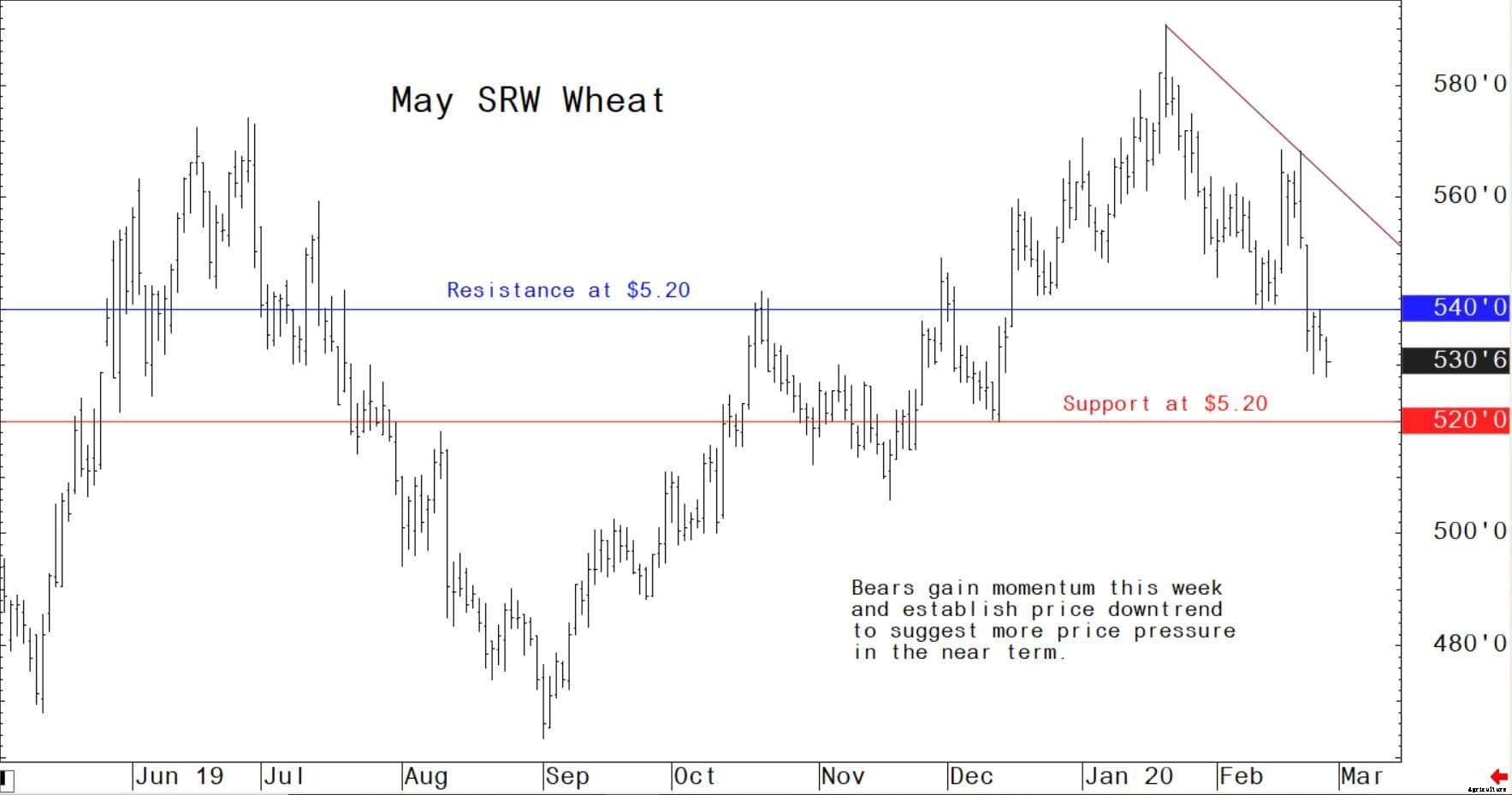 Coronavirus scare continues to squelch the grain market bulls