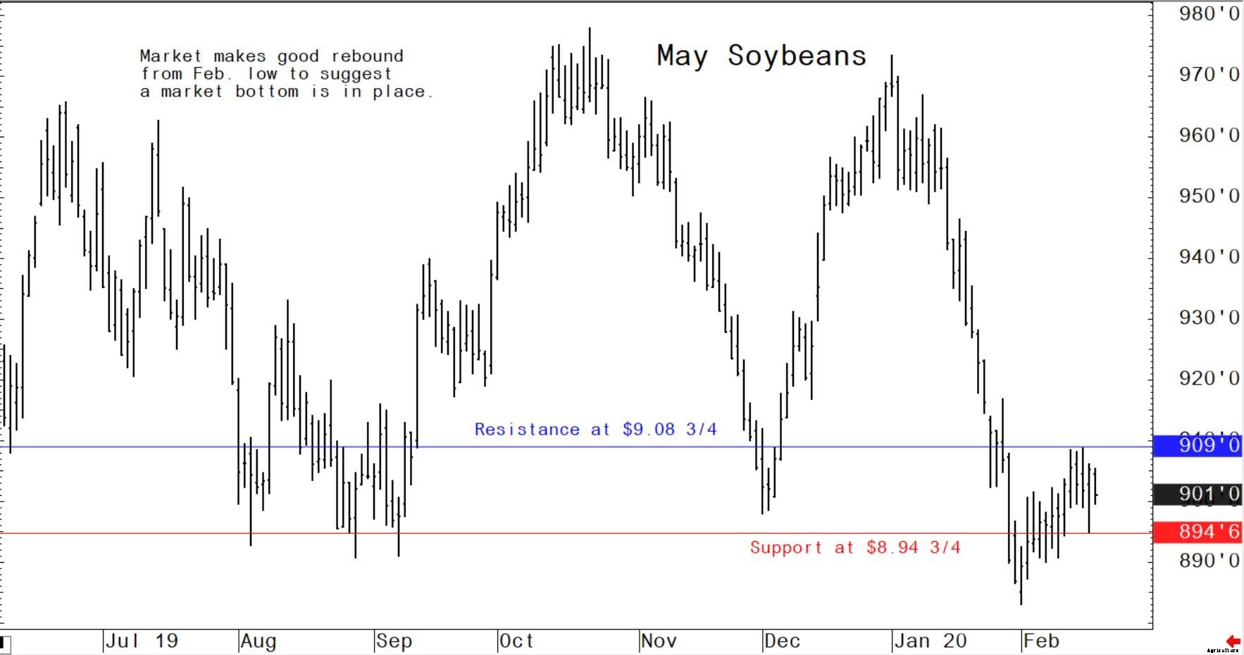 Wheat market bulls come back to life in week eight