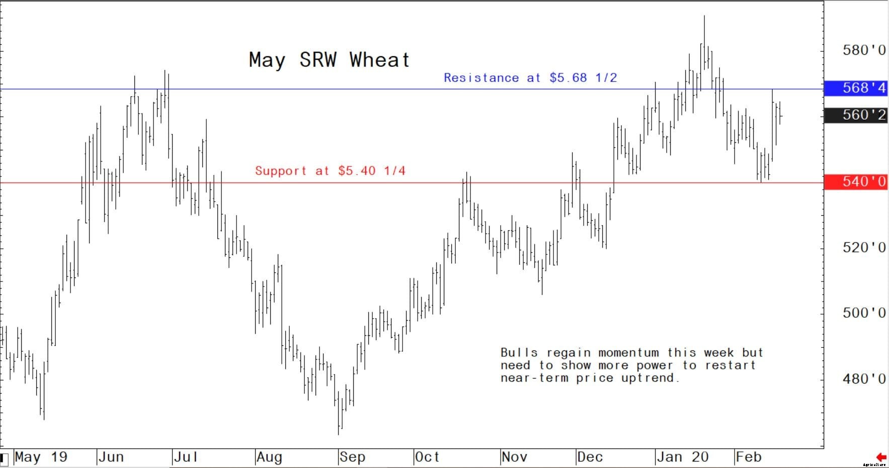 Wheat market bulls come back to life in week eight