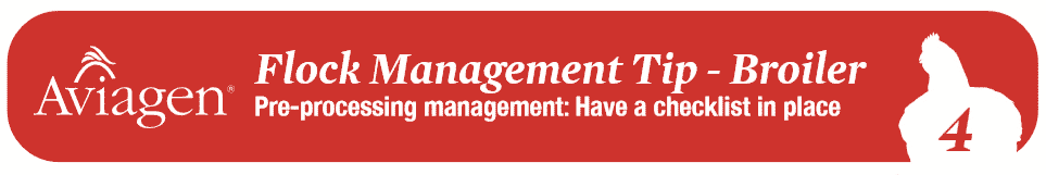 Flock management tip for broilers: Pre-processing management, have a checklist in place
