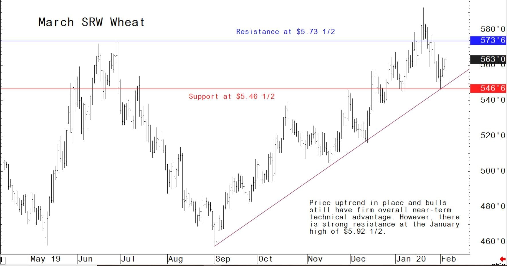 Weekly US grain market review: global markets begin to rally