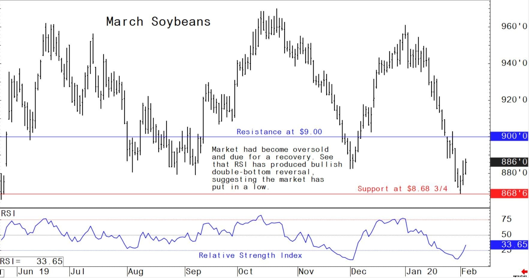 Weekly US grain market review: global markets begin to rally