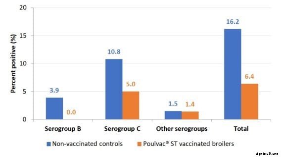 Effective Salmonella control requires involvement of entire production chain