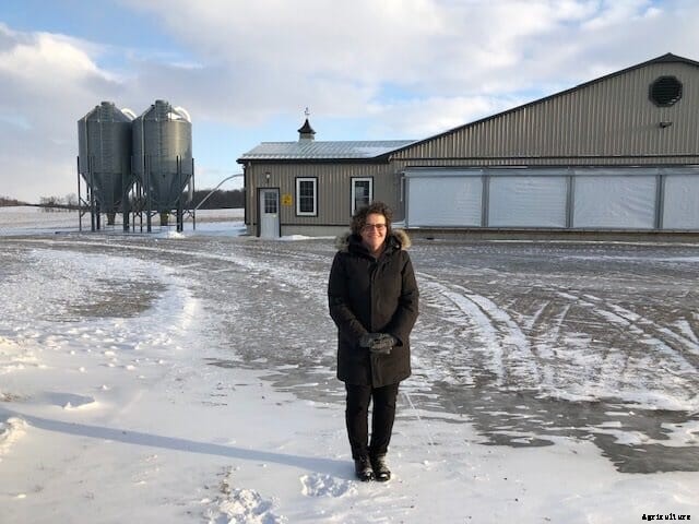 A year in the coop: your most read articles from 2019