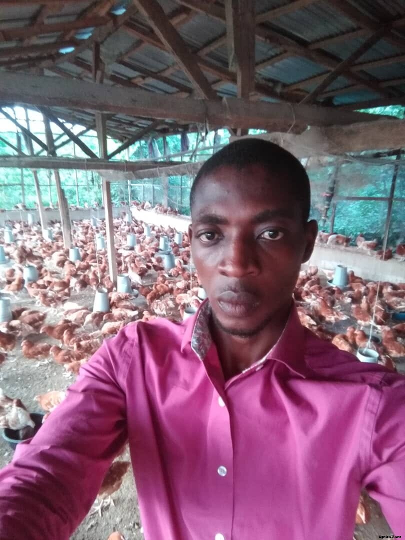 How Nigeria’s young poultry farmers are turning the problem of waste on its head