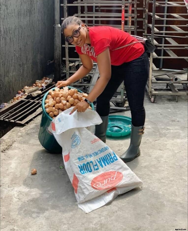 How Nigeria’s young poultry farmers are turning the problem of waste on its head