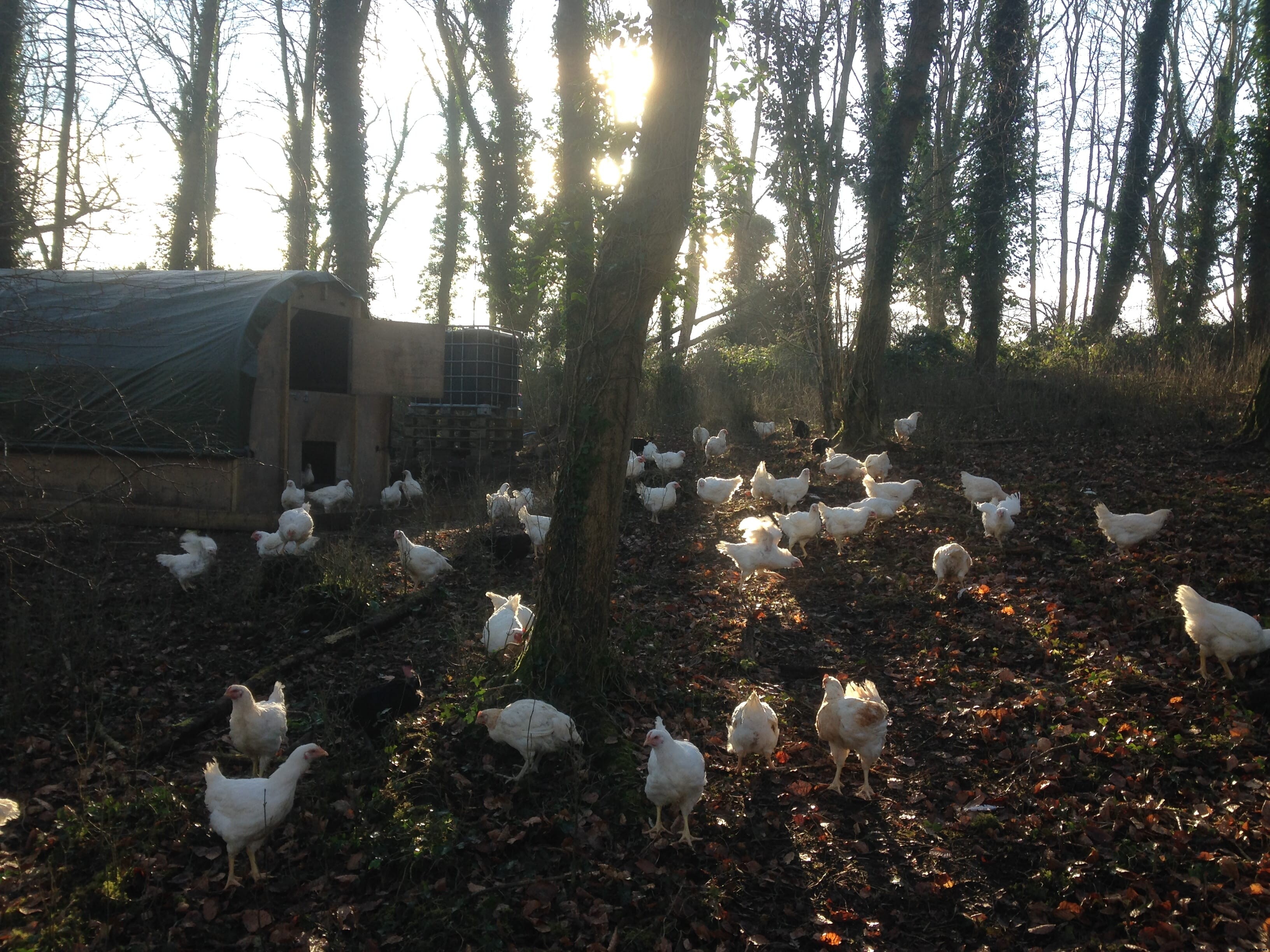 Farming in focus: Ashleigh Bright, FAI Farms