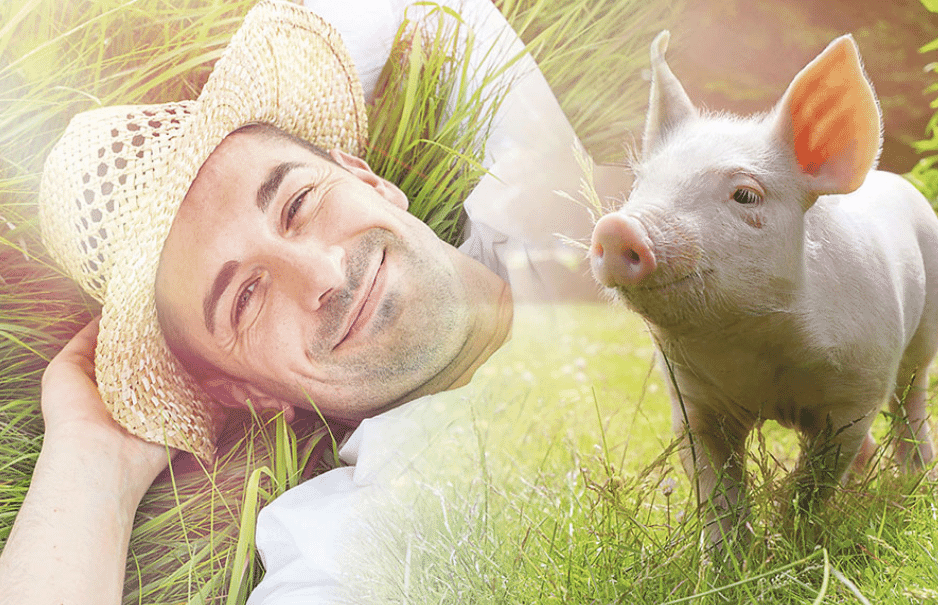 Low emissions in pig and poultry production: how exhaust air washers decimate ammonia, odours and dust