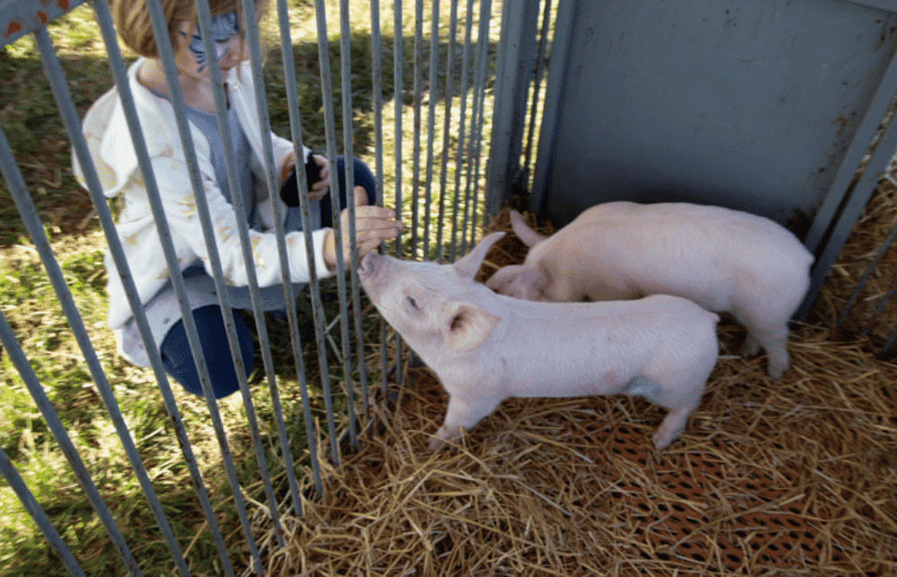 Missouri research farm celebrates ten years of scientific discovery