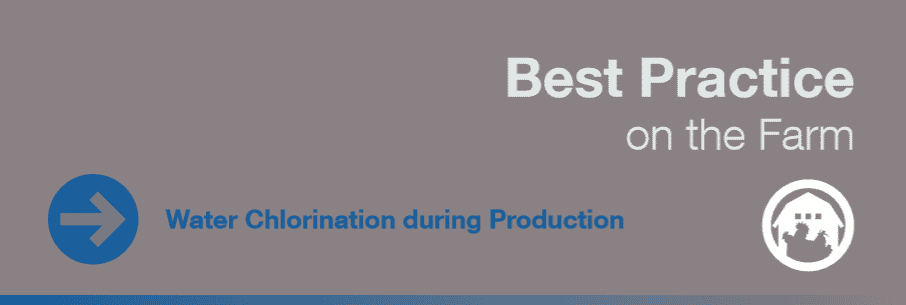 Best practice on the farm: water chlorination during production
