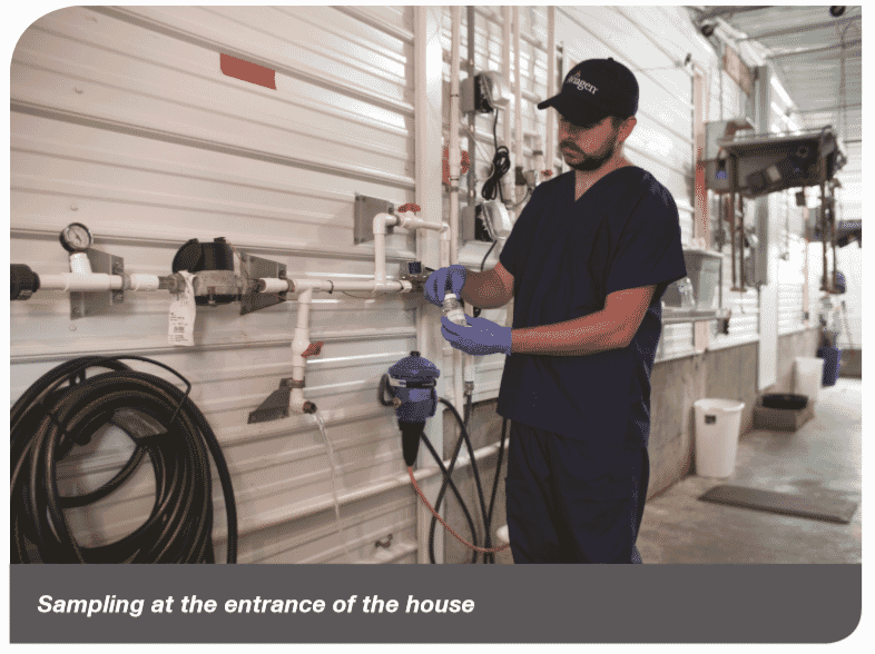 Best practice on the farm: water chlorination during production