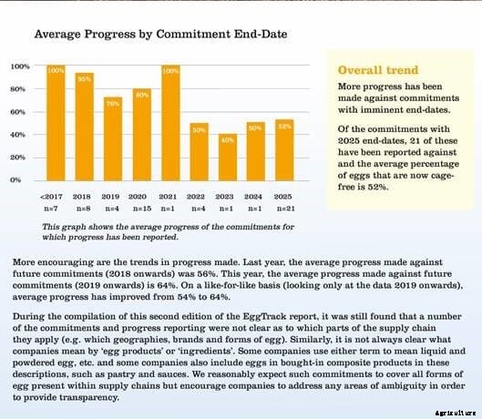 Compassion launches second European EggTrack report to show company progress towards cage-free egg production