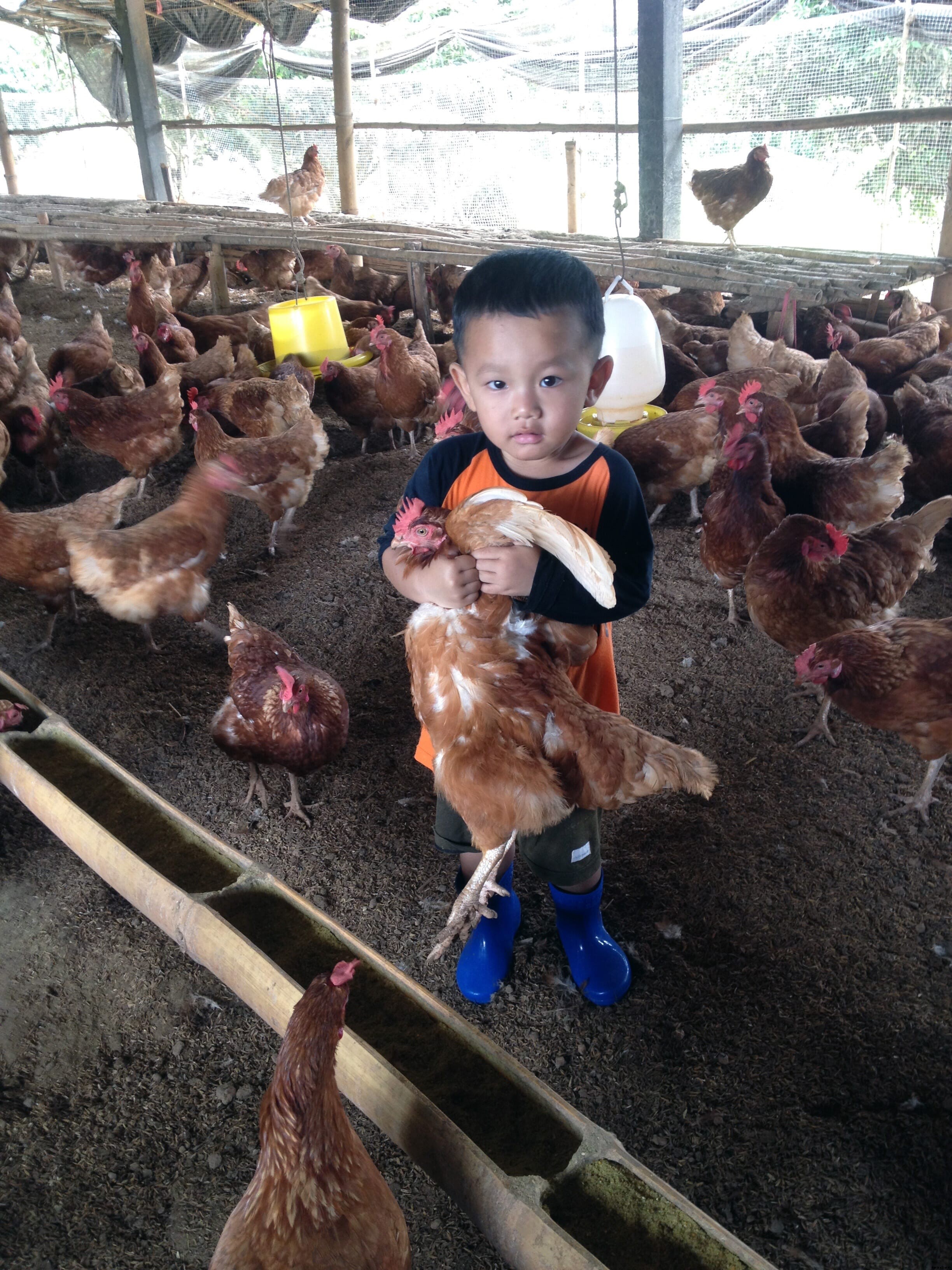 Poultry Heroes: Richard Blossom, co-founder and CEO of Hilltribe Organics, Thailand