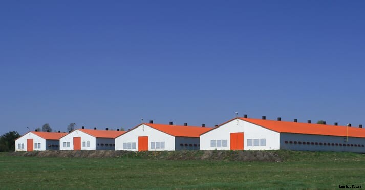 Canadian chicken lowers carbon footprint in time for consumers to choose plants