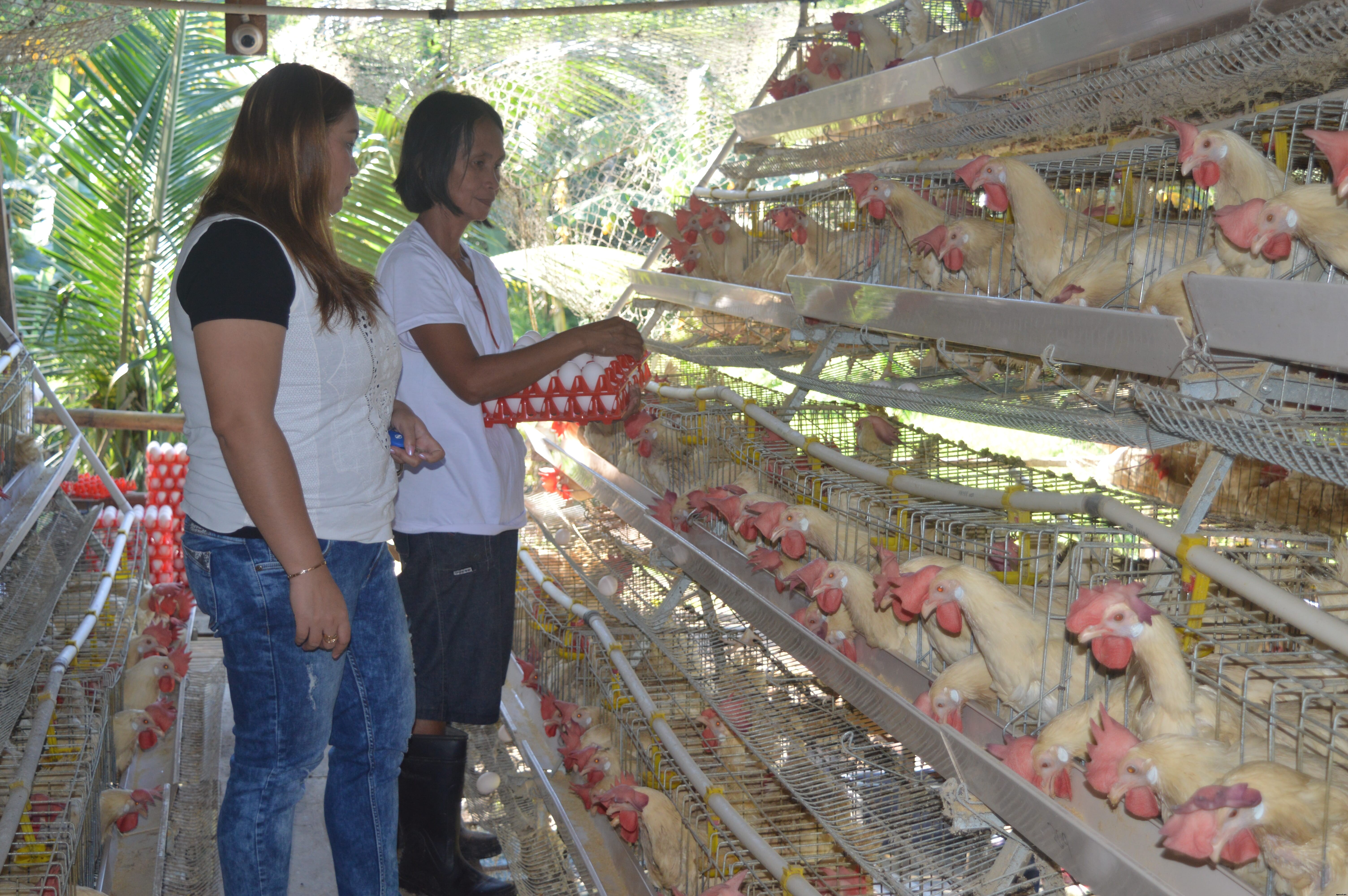 Women in Poultry: Jonna May Hernandez