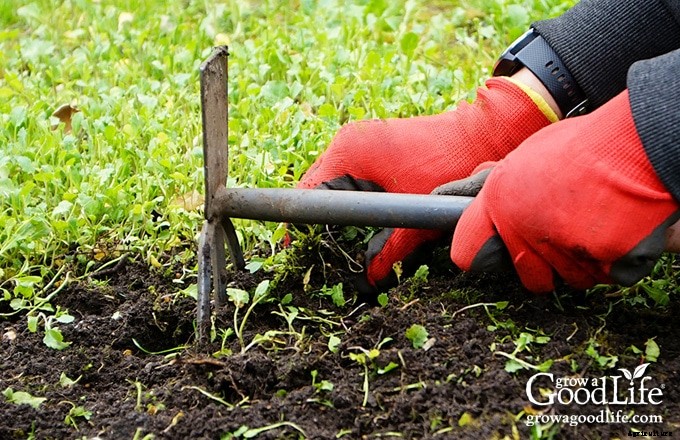 Natural Weed Control in the Vegetable Garden