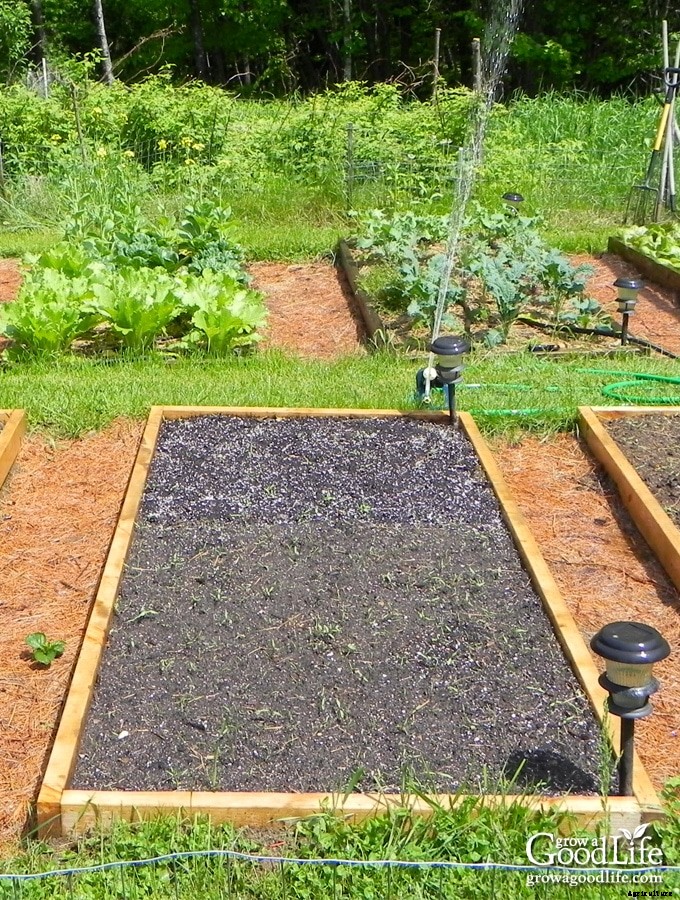 Planning Your Vegetable Garden: Mapping the Garden Beds