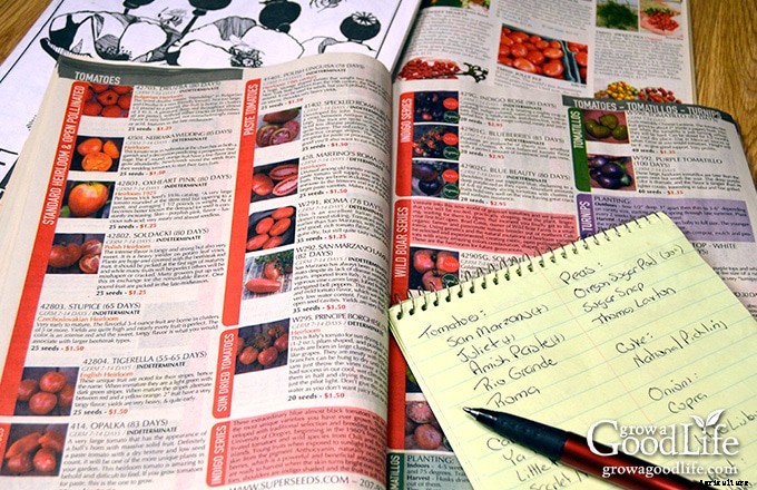 Tips for Buying Seeds for Your Vegetable Garden