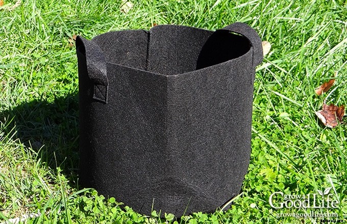 How to Grow Potatoes in Containers