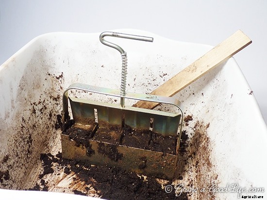 Soil Blocks to Grow Seedlings