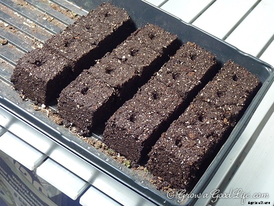 Soil Blocks to Grow Seedlings