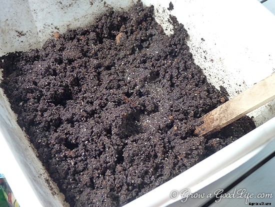 Soil Blocks to Grow Seedlings