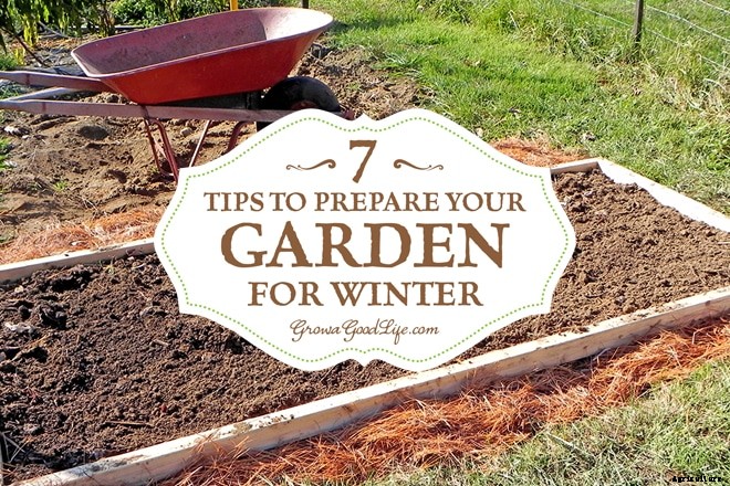 7 Tips to Prepare Your Vegetable Garden for Winter