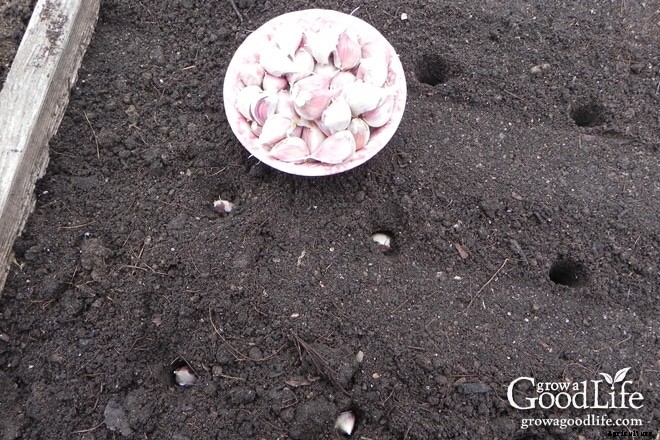 7 Tips to Prepare Your Vegetable Garden for Winter