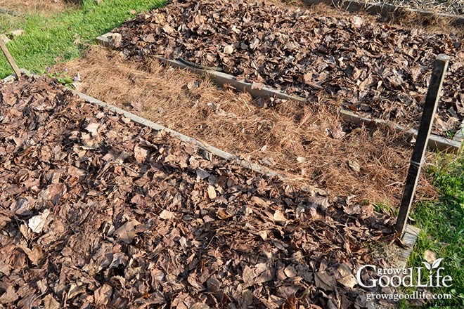 5 Ways Organic Mulch Helps Your Vegetable Garden