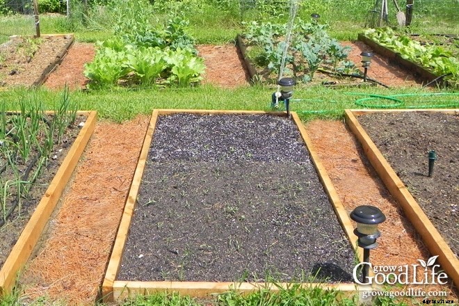 5 Ways Organic Mulch Helps Your Vegetable Garden