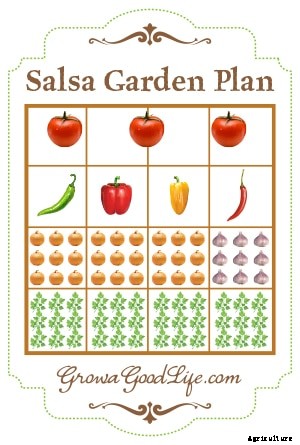 How to Grow a Salsa Garden