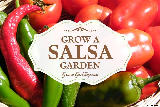 How to Grow a Salsa Garden