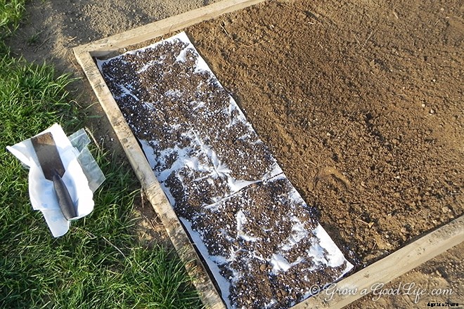 Homemade Seed Mats or Seed Tapes