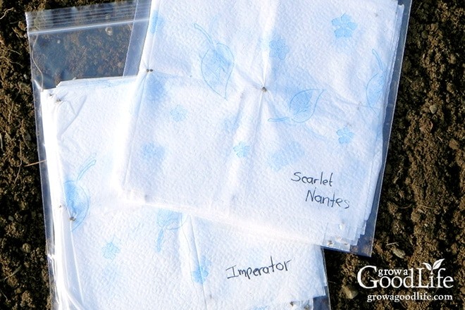 Homemade Seed Mats or Seed Tapes