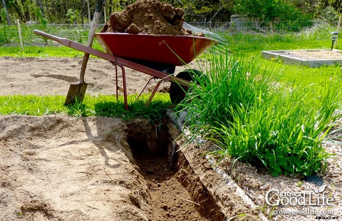 Planting Potatoes the Grow Biointensive Way