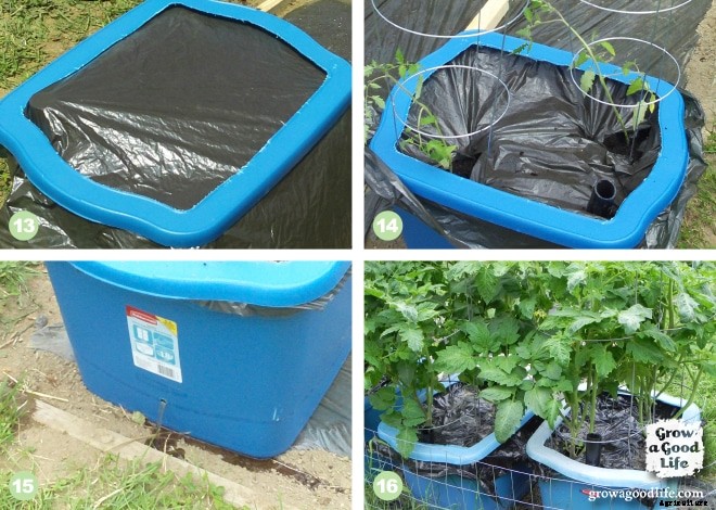 Build Your Own Self Watering Containers