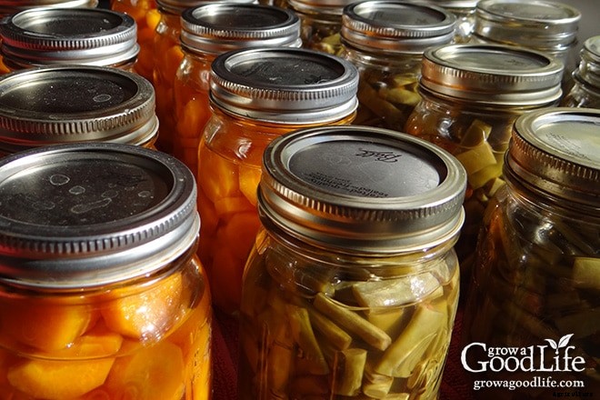 Vegetable Garden Planning: Choosing Vegetables to Grow