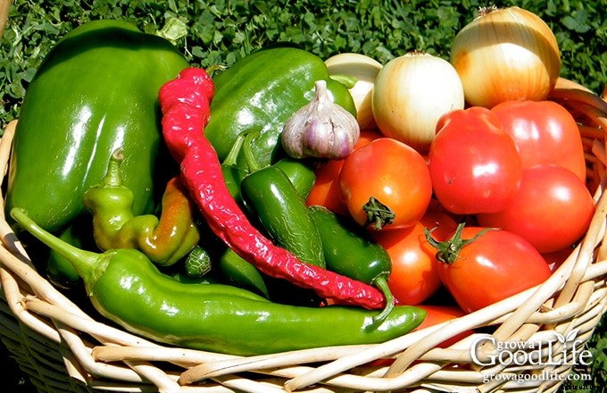 7 Tips for a Low-Maintenance Vegetable Garden