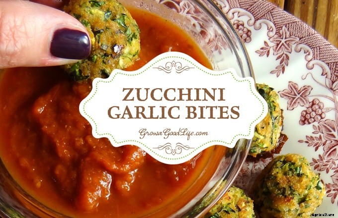 Grow a Good Life’s Top 10 Posts of 2016