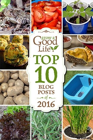 Grow a Good Life’s Top 10 Posts of 2016