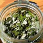 How to Harvest & Preserve Red Raspberry Leaf Tea