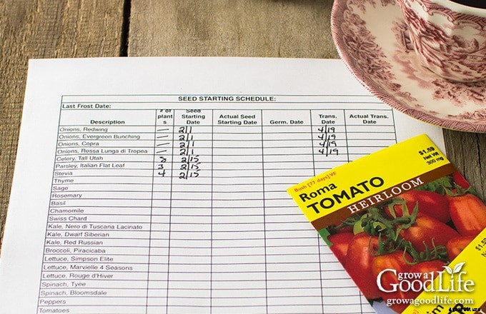 Planning Your Vegetable Garden: Seed Starting Schedule